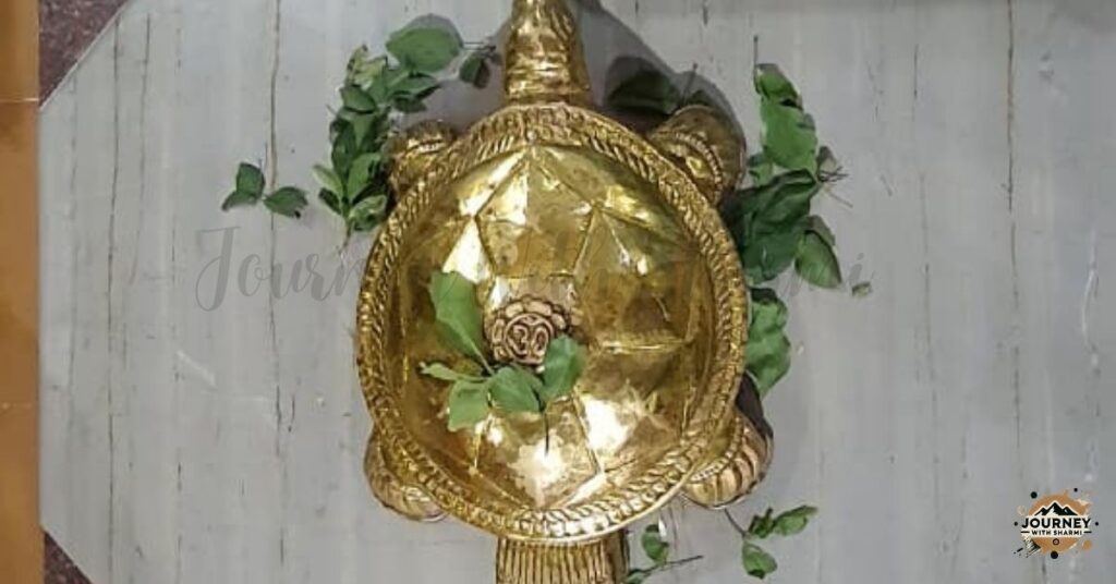Golden tortoise inside the main temple of Shree Siddharoodha Math Hubli, symbolizing stability, devotion, and spiritual significance.