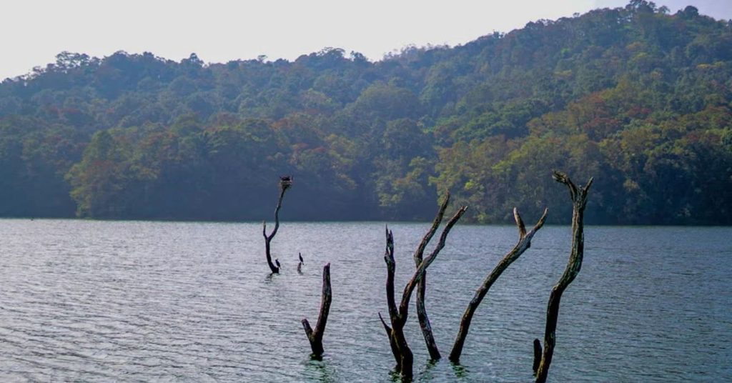Thekkady, Kumily, Kerala, India