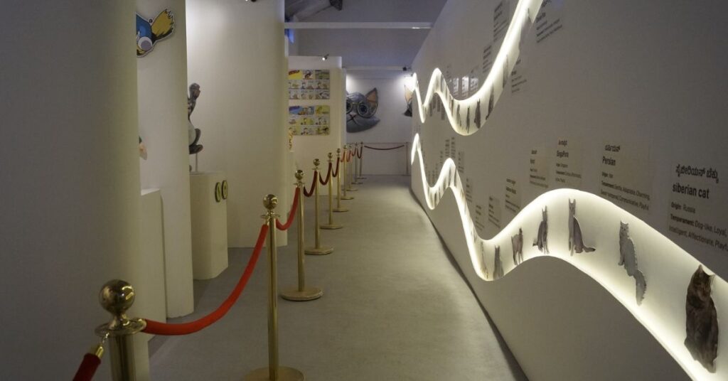 Inside View of Mysore Cat Museum