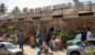 Jin Min Cat World Mysore: Inside India’s First Cat Museum