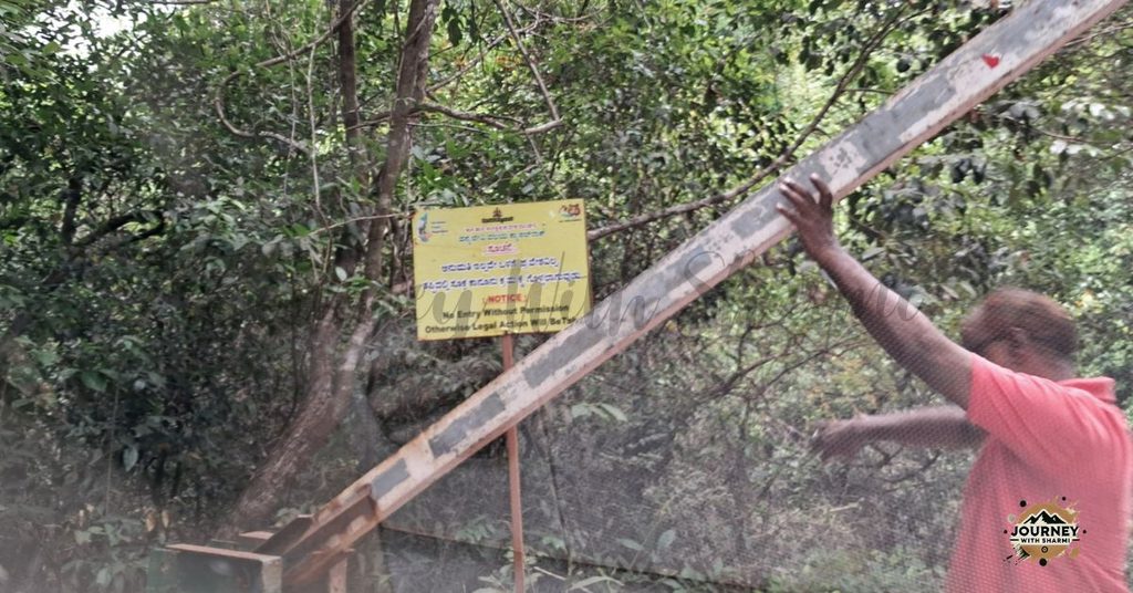 Found one of these hidden forest gates! Just remember, you’ll need special permission or a permit to head past this point