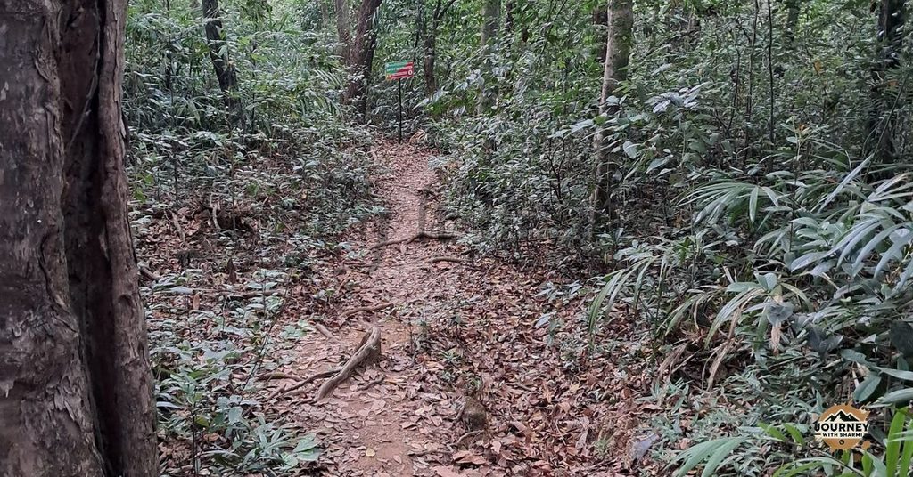 Entry To Bhagwan Mahaveer Wildlife Sanctuary & Mollem National Park (Goa side)