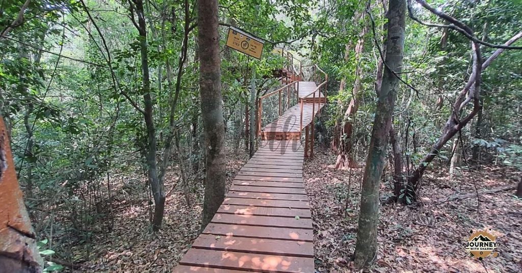 Kuveshi Forest Canopy Walk - India's First Canopy Walk