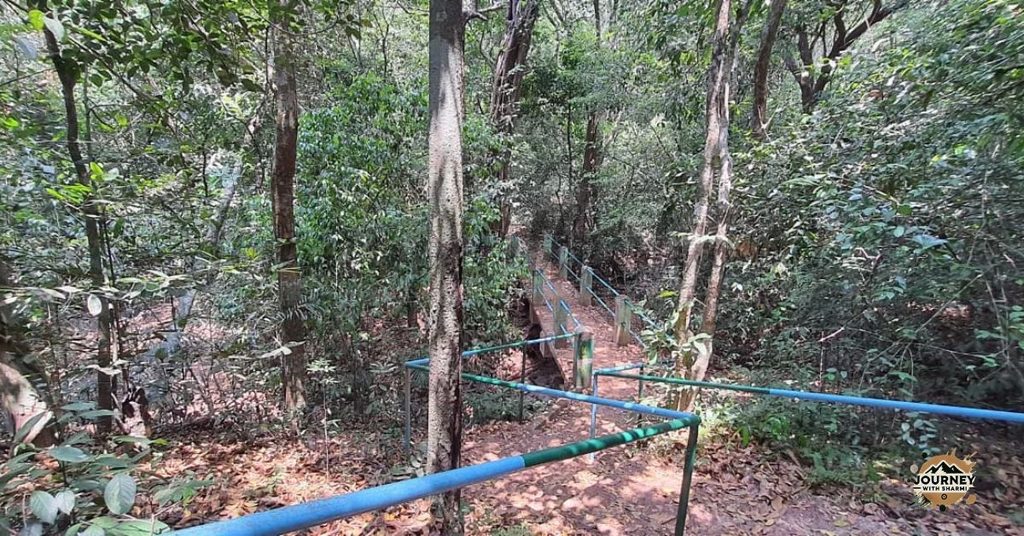 Kuveshi Forest Canopy Walk - India's First Canopy Walk