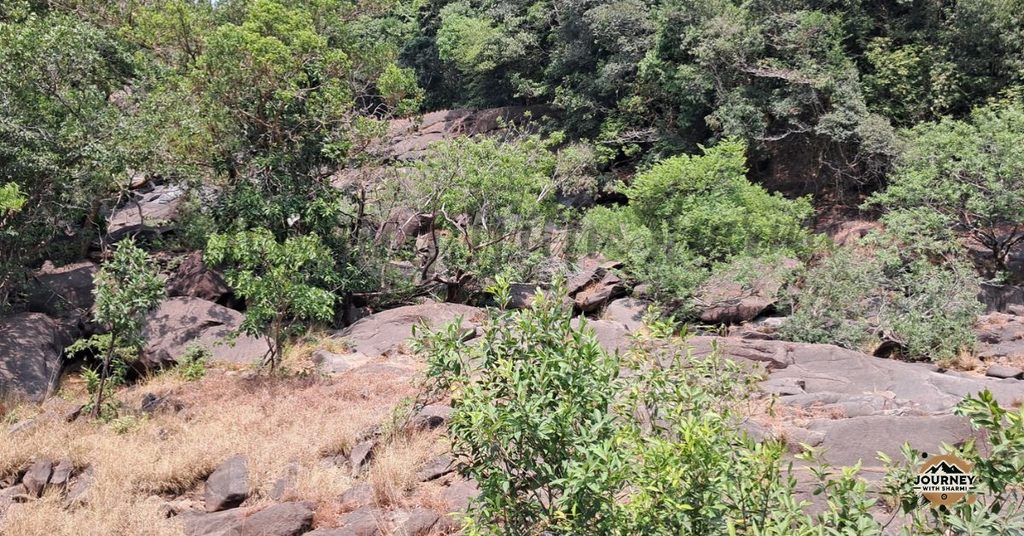 Leaving the shadow of the jungle behind as the trail opens up to sweeping basalt rock face. The landscape changes in a single step