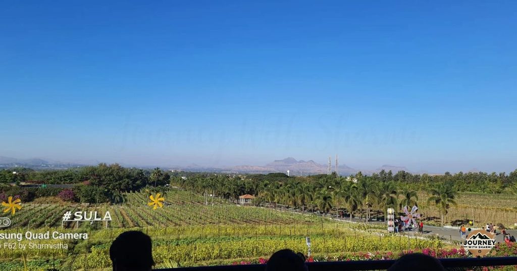 Endless rows of green, rolling hills in the distance, and the wide blue sky above